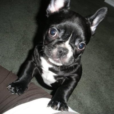 KornPop44's profile picture. 