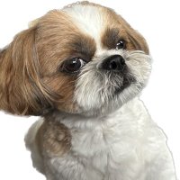 わうち (@yokohamalove73) 's Twitter Profile Photo