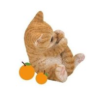 영이!! (@young2boo) 's Twitter Profile Photo 영이!! (@young2boo) 's Twitter Profile Photo