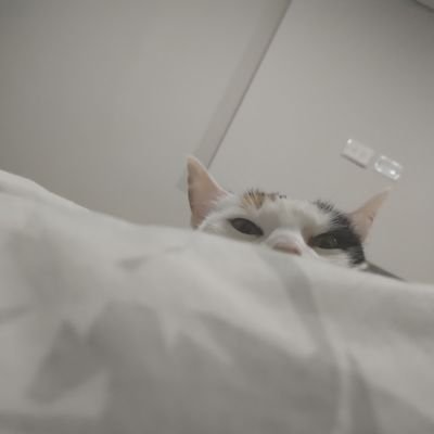 burbuja_oscura_'s profile picture. Abogada, casi filósofa y estudiante de máster en D. Humanos, D I.H y paz. | Amante de los gatos y una lectora apasionada. | 

Puro sinsentido por acá.