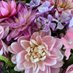Georgie Newbery (@commonfarm1) Twitter profile photo Georgie Newbery (@commonfarm1) Twitter profile photo