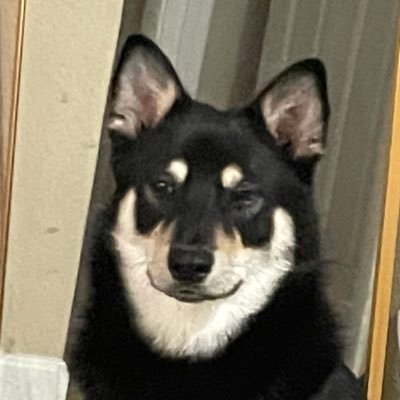 Bad Dog. You’re favorite alts favorite alt.