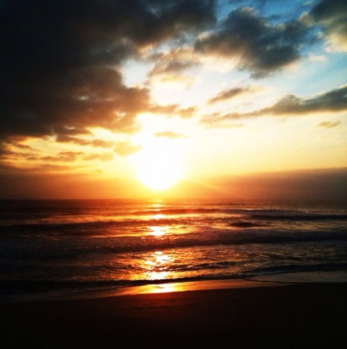 LauraDeForest's profile picture. 