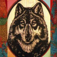 Chances with Wolves (@chanceswwolves) 's Twitter Profile