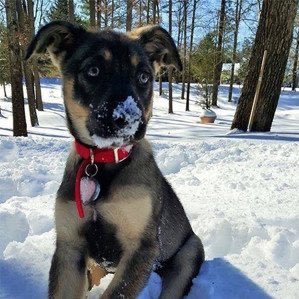 Huisky__Trades's profile picture. Investor | Founder & CEO of @BullTradesApp | Options Trader | My tweets are my opinion only & not financial advice