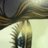 crissong's profile image