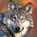 greywulf (@greywulf) Twitter profile photo