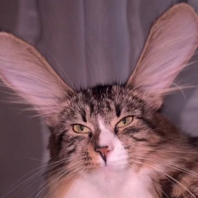 waveeeydaveeey's profile picture. 