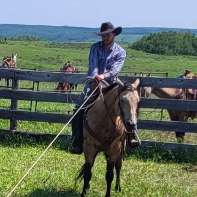 Colter Wall Profile