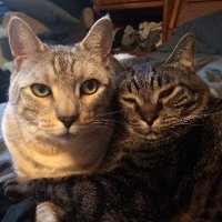 Stefanie (@sr64401461) 's Twitter Profile