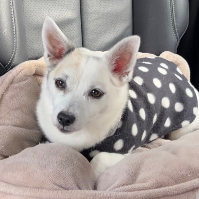 LakshmiFlorida's profile image