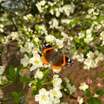 jennamaldridge's profile picture. I want auroras and sad prose