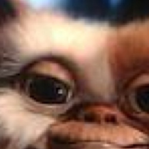 Tigerpartyparty's profile picture. Sold out.