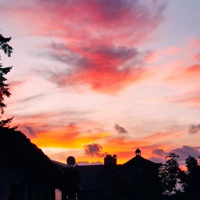 SalTeenn's profile picture. 