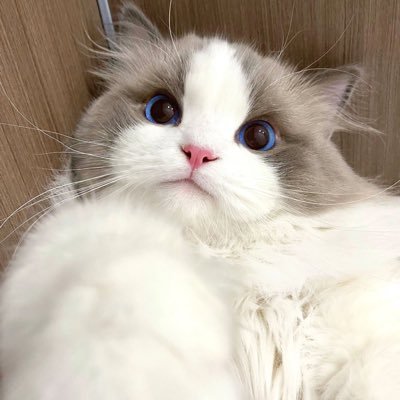 usitsumo's profile picture. 