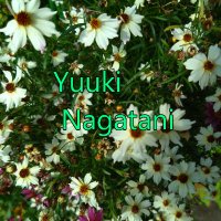 Yuuki Nagatani(@electronic_YN) 's Twitter Profile Photo