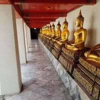 真 (@zhenyi447224) Twitter profile photo