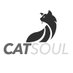 CatSoul (@catsoulestudio) Twitter profile photo