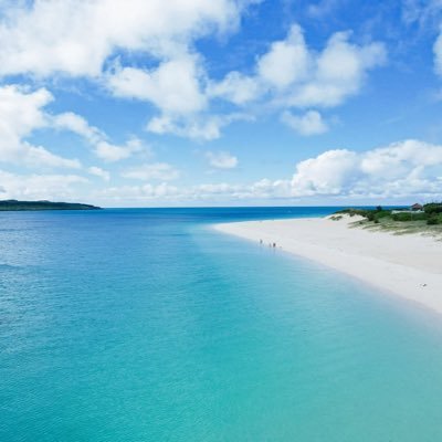 TKNBA266986's profile picture. ばすけっとの情報収集しています。