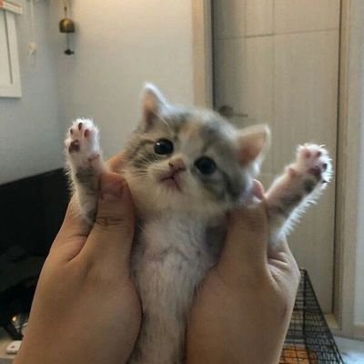 #공부계 이대생과 함께 공부해요💚