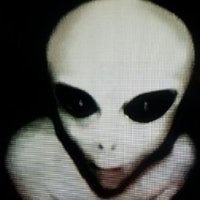Michael Di Pippo ™ 🗽︻╦╤─ - - ◉ 🛸🚀👻🧑🏻🦽 (@lighttackle) 's Twitter Profile