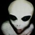 Michael Di Pippo ™ 🗽︻╦╤─ - - ◉ 🛸🚀👻🧑🏻🦽 (@lighttackle) Twitter profile photo Michael Di Pippo ™ 🗽︻╦╤─ - - ◉ 🛸🚀👻🧑🏻🦽 (@lighttackle) Twitter profile photo
