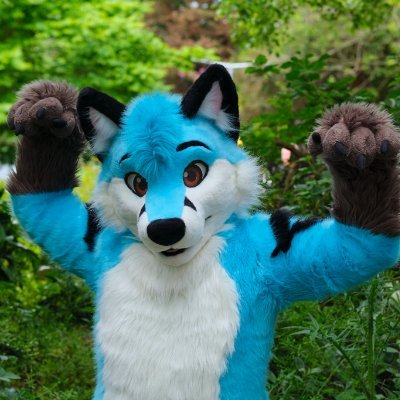 ThePocketyFox Profile Picture