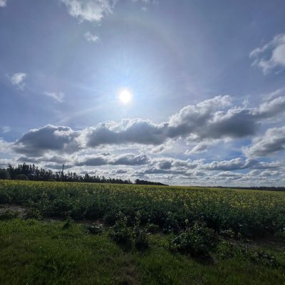 Luciana87013364's profile picture. 