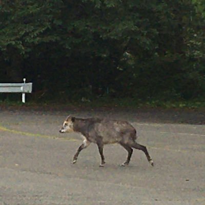 utadanaikaku's profile picture. 計71即(ストネト併用、スト39即) 欲望に忠実に生きる。