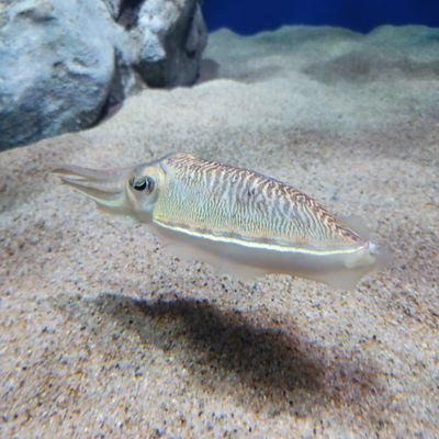 hpufdw0ReMnVXtZ's profile picture. 