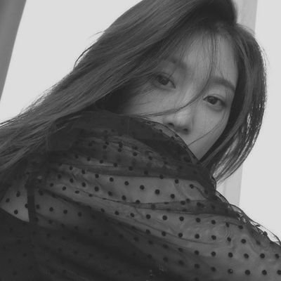 gravitaurus's profile picture. 