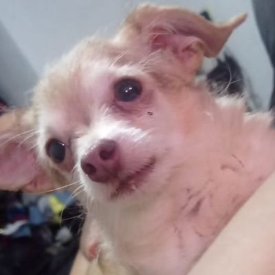 Cuéntame tu vida crack que a mí sí me interesa c:
a veces me da la esquizofrenia en la madrugada y me pongo a hablar solo, sorry
