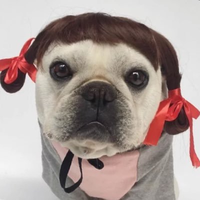 bitchpoppingout's profile picture. - No ミスチル, No Life- Mr.Childrenに教えてもらったもの 数えられない #Mr.Children