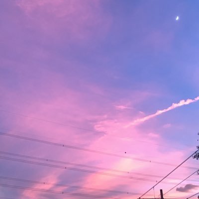 DACNWb²さんのプロフィール画像