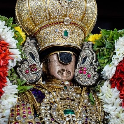 NknNarayanan's profile picture. Fun