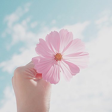 tears_2222's profile picture. 穏やかに生きたい🍁 l 元JW2