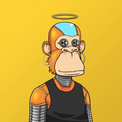 NewtonKell91193's profile picture. $TORTLE
