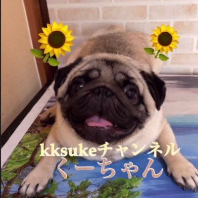 kksuke_kksuke9 Profile Picture