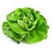 NZ Farmers & Growers Directory (@nzgrowers) Twitter profile photo NZ Farmers & Growers Directory (@nzgrowers) Twitter profile photo