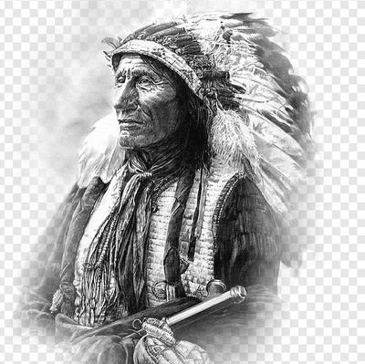Daily posts of Native on Twitter!
Native american lover ❤️