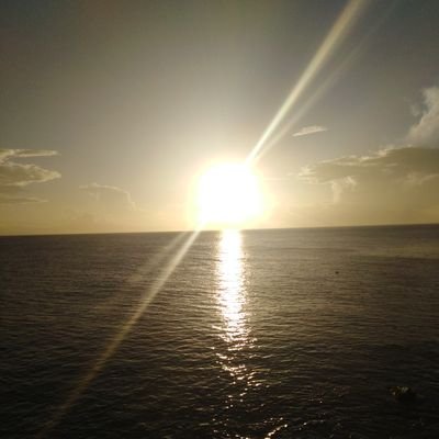 newarobaz's profile picture. 