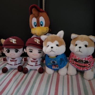 楽天イーグルス⚾と秋田ノーザンハピネッツ🏀とブラウブリッツ秋田⚽をこよなく愛するオバちゃんです。地域の行事も色々参加していますのでよろしくお願いします🙇⤵️