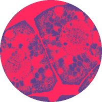 Foundry (@foundrybb) 's Twitter Profile