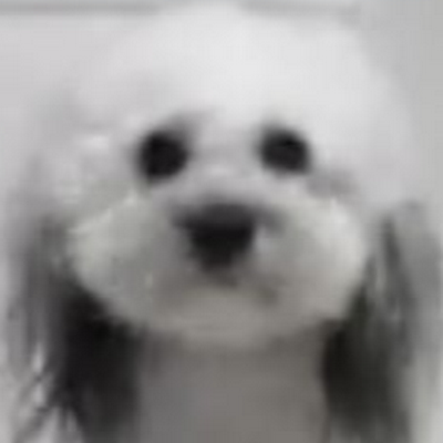 NotnoamC30195's profile picture. 