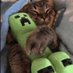 I love games (@braceshoto2725) Twitter profile photo I love games (@braceshoto2725) Twitter profile photo