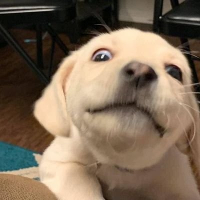 Subhash5905's profile picture. 