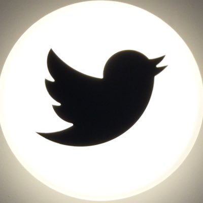 teevau's profile picture. „I am only human“  I OneLove