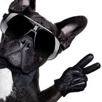 Y (@stfupls007) 's Twitter Profile