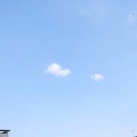 nnn (@nnn_rest) 's Twitter Profile
