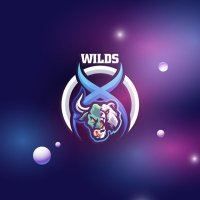 0xWilds(@0xWilds) 's Twitter Profile Photo